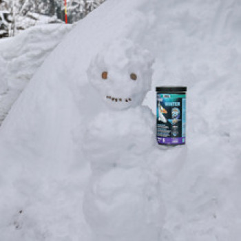 Propond Winter S